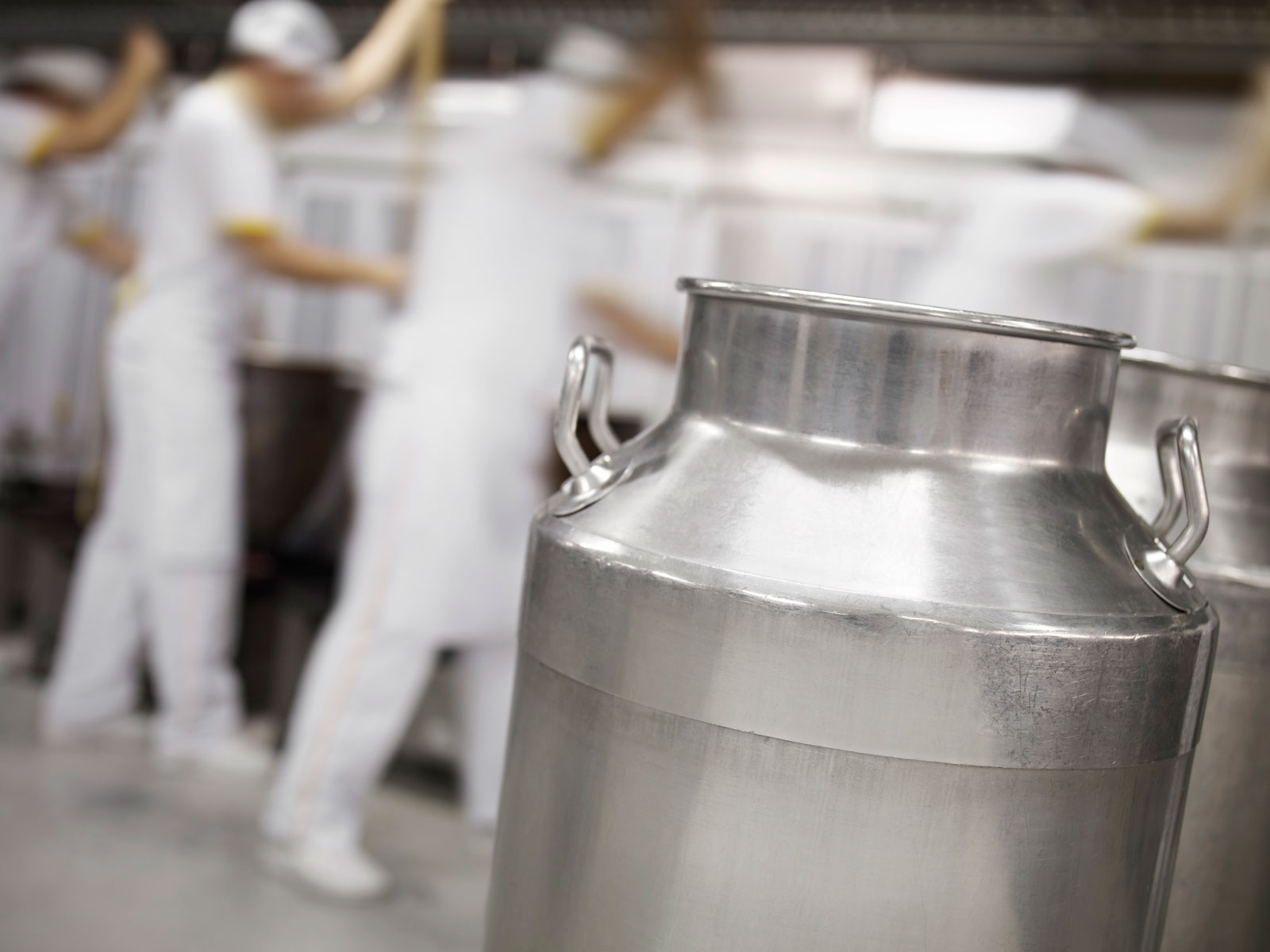 Continuous improvement: cooling of bulk raw milk | DAIRYSAFE